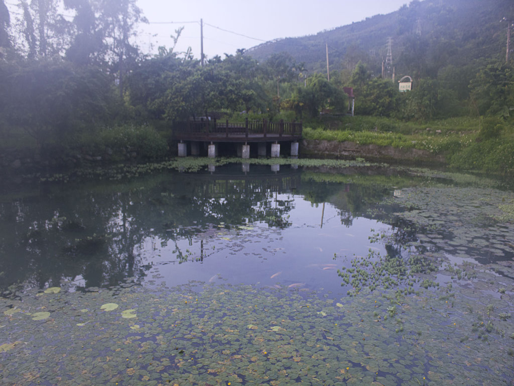 http://i.dcview.tw/gallery/201109/c086f60670c1cbd85e27e2b46641355e.jpg