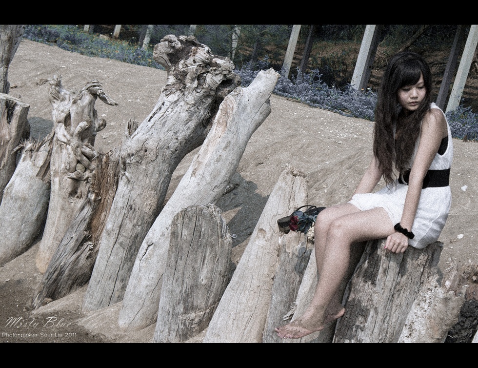 http://i.dcview.tw/gallery/201109/c7be0cfe24957761fd9e09f025427720.jpg