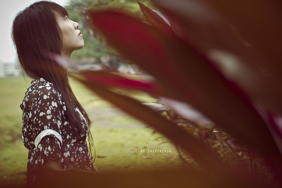 http://i.dcview.tw/gallery/201109/c8267abe76e6c3c50e0f848e9ecf0f3c.jpg