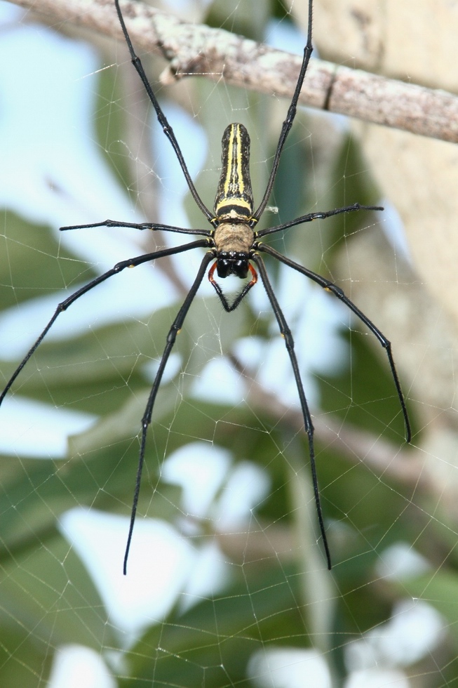 http://i.dcview.tw/gallery/201109/ca137c279879276f7003ac666f37d37d.jpg