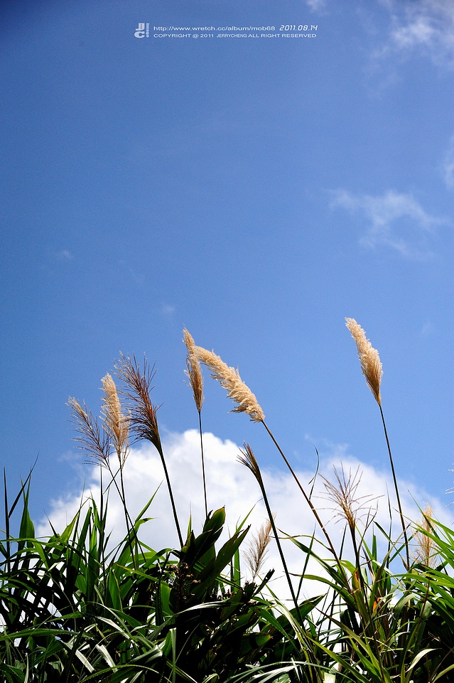 http://i.dcview.tw/gallery/201109/cf36b25a82a21d09b302efa9e39e8fc3.jpg