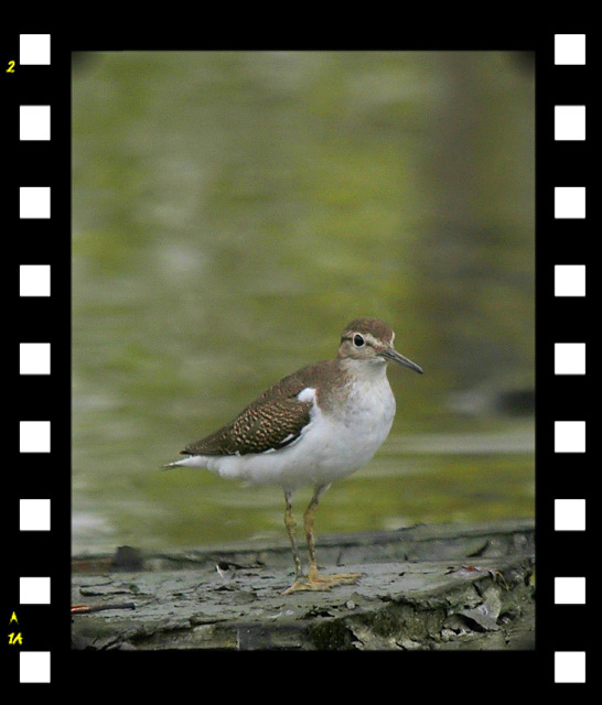 http://i.dcview.tw/gallery/201109/d362c3eb183a4fc6959983bda0d1cc49.jpg