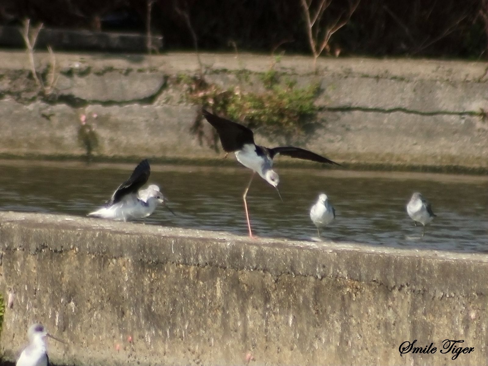 http://i.dcview.tw/gallery/201109/d6b9ddf8552daac12aaee98abeb7674e.jpg