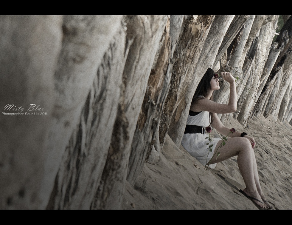 http://i.dcview.tw/gallery/201109/d780898594d0c14289278857bfe7528a.jpg