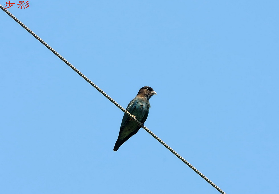 http://i.dcview.tw/gallery/201109/d97984432a0911854e871ad43c2be08b.jpg