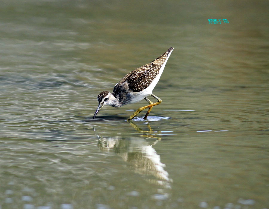 http://i.dcview.tw/gallery/201109/daeaaf26a5811f109e527ee93a003164.jpg