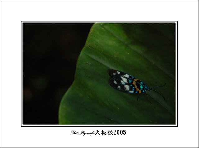 http://i.dcview.tw/gallery/201109/de1eb9a7d84db94df419bace1b49c2a8.jpg