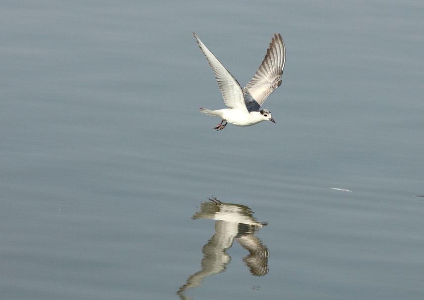 http://i.dcview.tw/gallery/201109/debf5ef7bff4b9e9b5d2c783073e42e8.jpg
