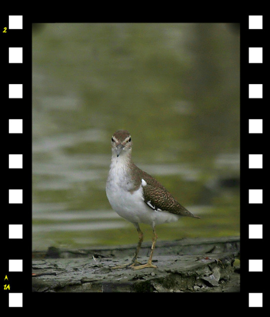 http://i.dcview.tw/gallery/201109/dfe5b94ba4b27a8823768710d52655d5.jpg