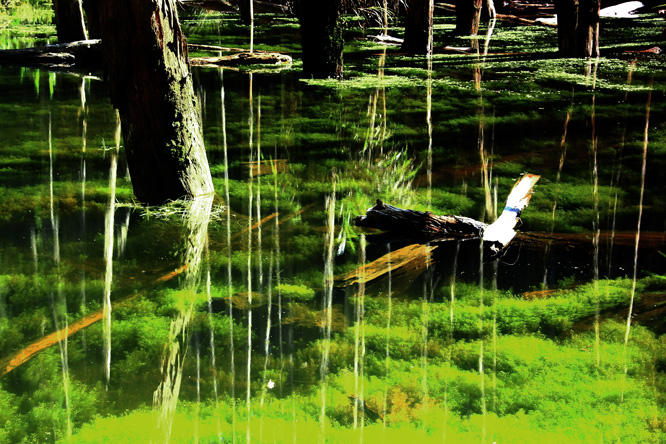 http://i.dcview.tw/gallery/201109/e496a0b7d63ddb51baf5bb0568fb5c1a.jpg