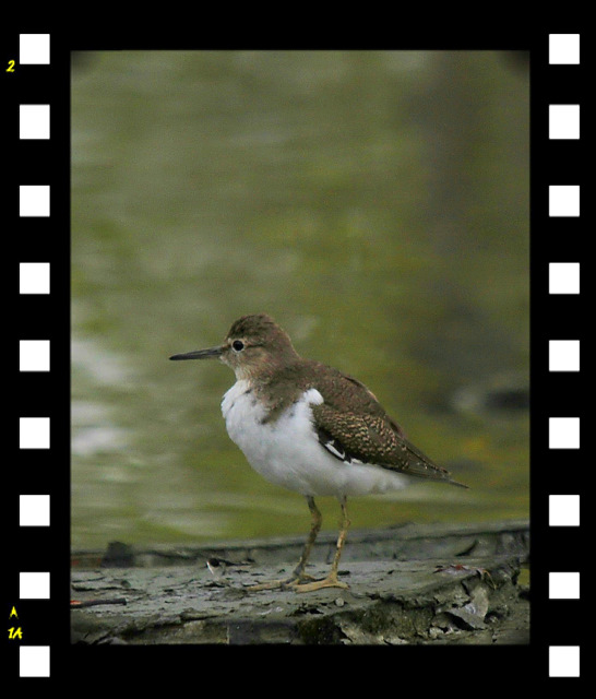 http://i.dcview.tw/gallery/201109/e5b38450720278352d44734d8b3075b8.jpg
