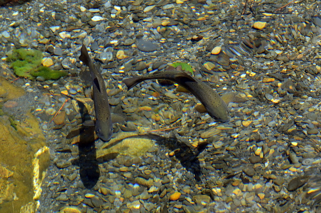http://i.dcview.tw/gallery/201109/f5460ed2c217c338caa8243c962139f2.jpg