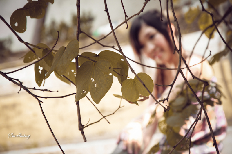 http://i.dcview.tw/gallery/201109/fb241710a112ea7ff1cb9d8da893dc9f.jpg