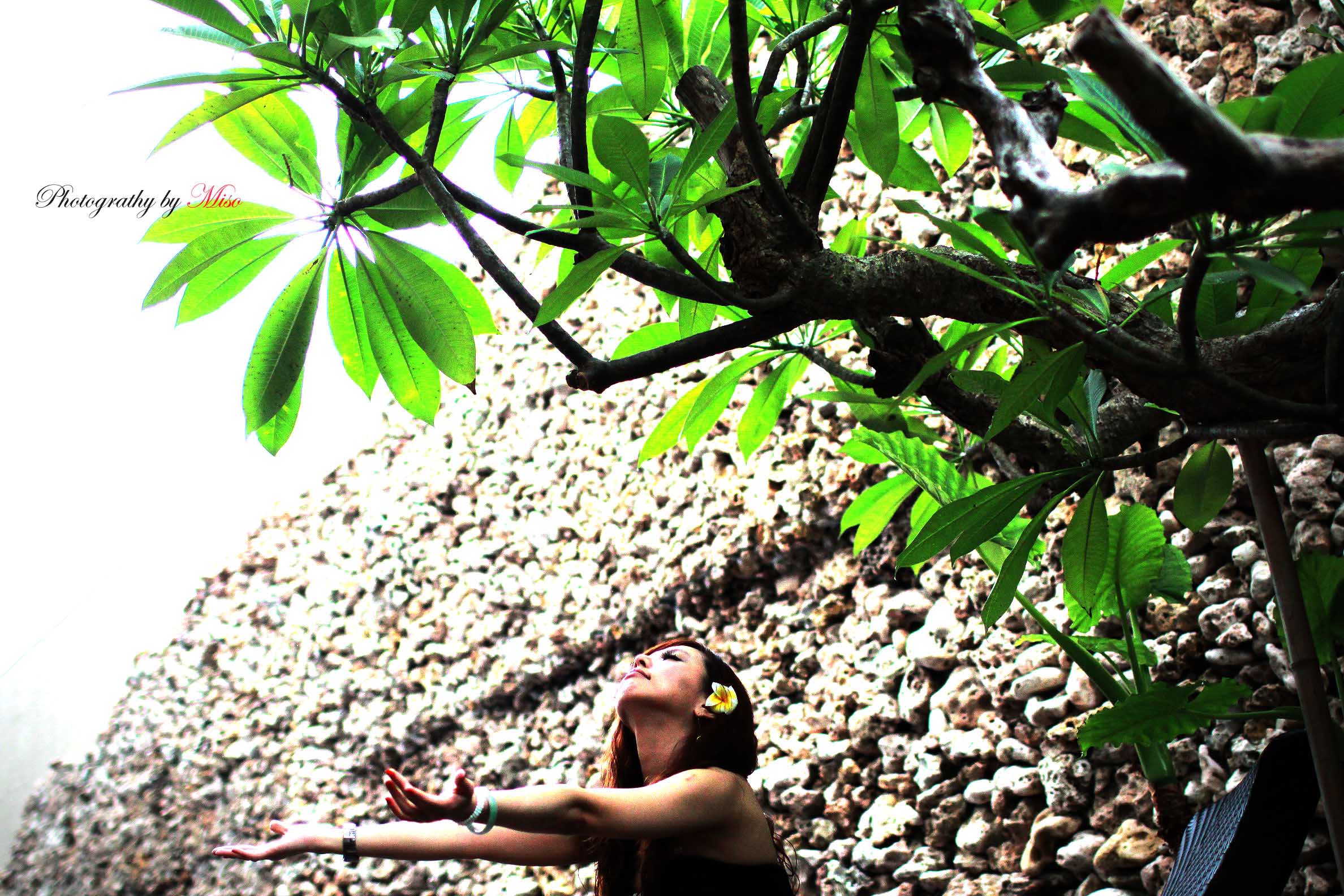 http://i.dcview.tw/gallery/201110/01d06c2279b68f6cf471f5abd4ad1b3d.jpg