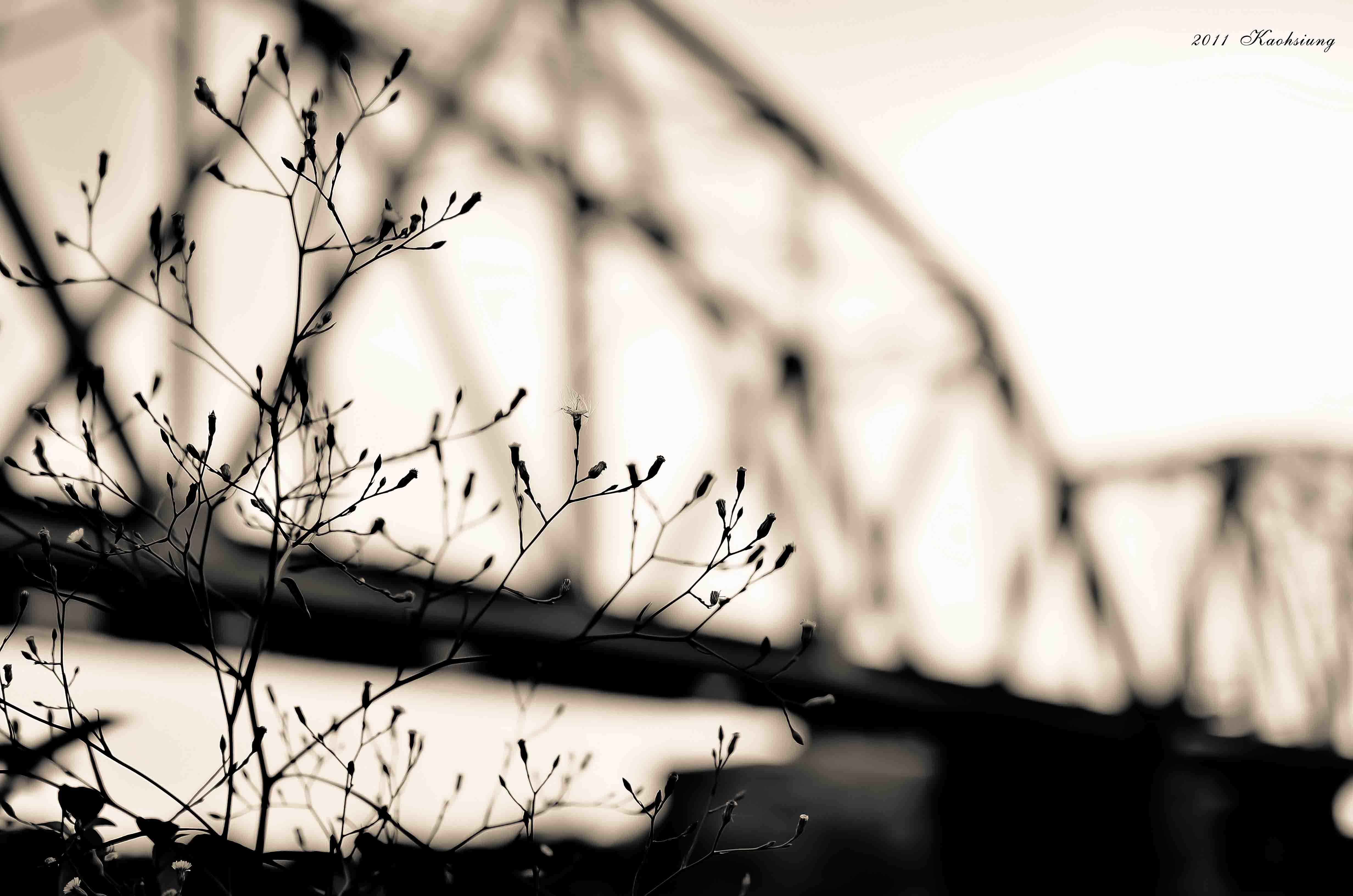 http://i.dcview.tw/gallery/201110/0420ff7dc93c89bded00485dd9ad7d8b.jpg