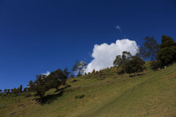 http://i.dcview.tw/gallery/201110/130fc0dbaac3c65ca80d6b27b9a649f9.jpg