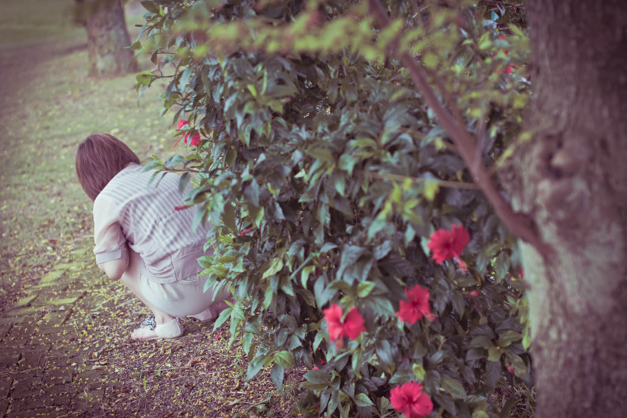 http://i.dcview.tw/gallery/201110/1578b69878a1186d218338640bc28c48.jpg