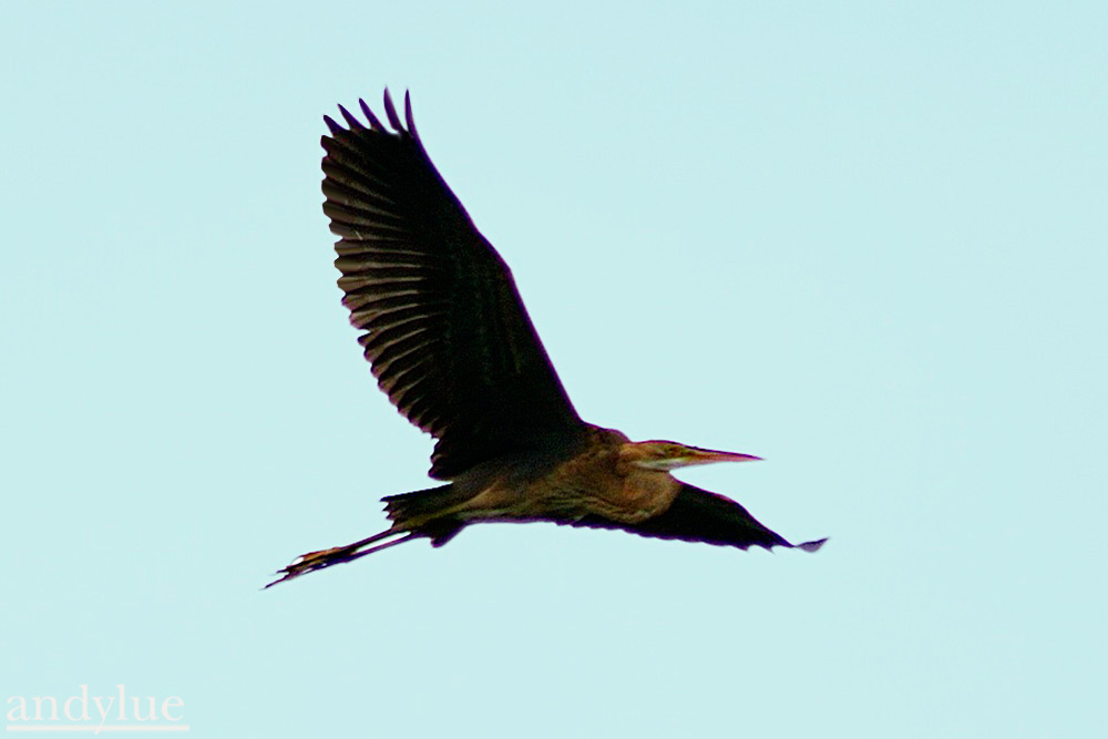 http://i.dcview.tw/gallery/201110/172151bd1c79244fb1efb7bc3138ef5d.jpg