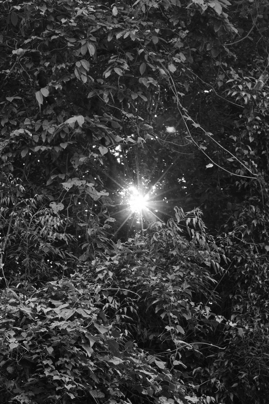 http://i.dcview.tw/gallery/201110/2750fe32e8b4bee3e226edc62cf4a012.jpg
