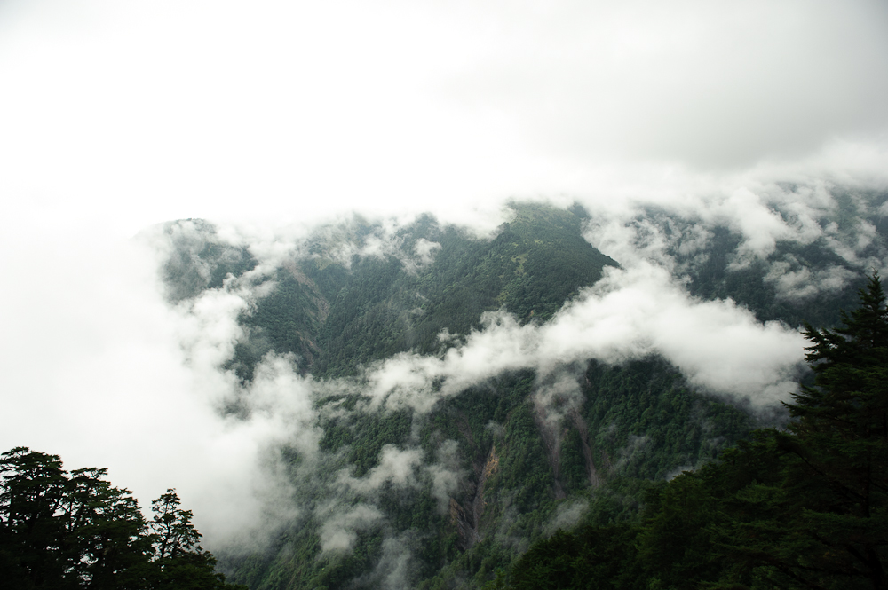 http://i.dcview.tw/gallery/201110/2836a0159672efac7d13d20e58f4ec61.jpg