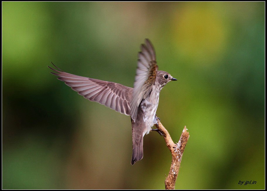 http://i.dcview.tw/gallery/201110/2ddce6d13ddb2df96643b612a2c9da7a.jpg