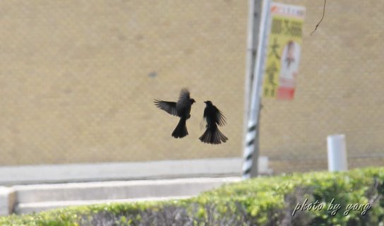 http://i.dcview.tw/gallery/201110/33583b00c4aea548cbc0dc13fd1f5363.jpg