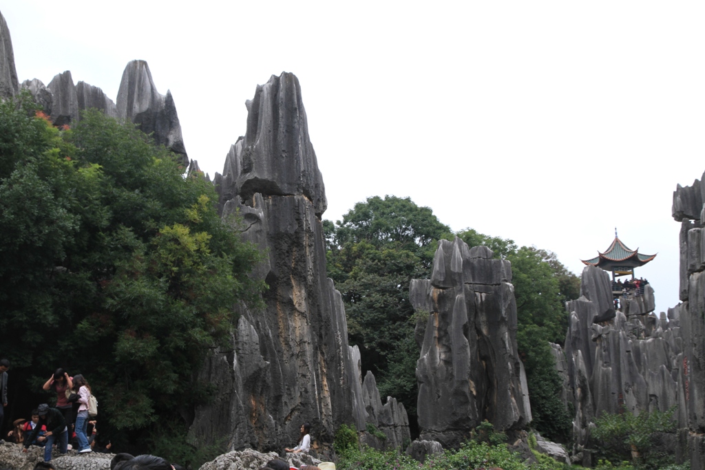 http://i.dcview.tw/gallery/201110/3802c1f157045458e238c7a2c3193de6.jpg