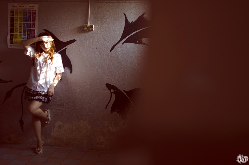 http://i.dcview.tw/gallery/201110/515a2d08151109dae9d5561cdccdbb60.jpg
