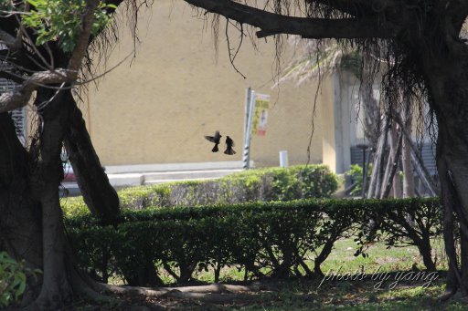 http://i.dcview.tw/gallery/201110/6d0e9f112fdd3b6be7905026be99d34d.jpg