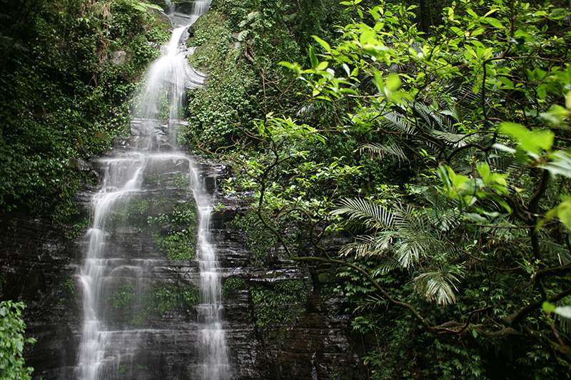 http://i.dcview.tw/gallery/201110/788e4271b611313f094a51b0615b90e9.jpg