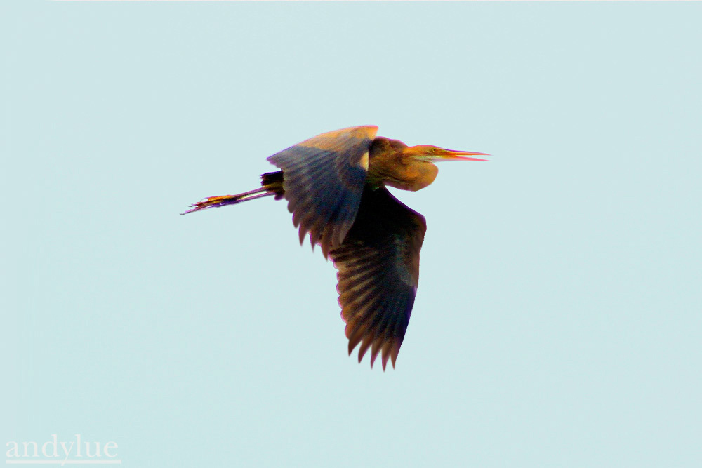 http://i.dcview.tw/gallery/201110/7e4cc4125eacc40846c53e17d7f87d52.jpg