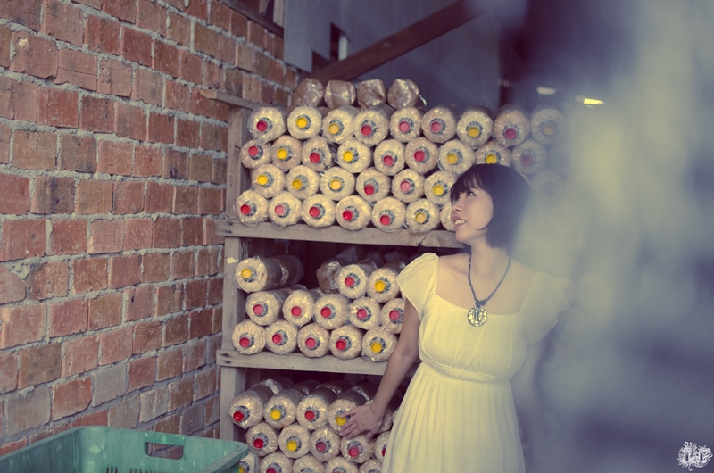 http://i.dcview.tw/gallery/201110/89823dab130b915a3d21180819d223a1.jpg