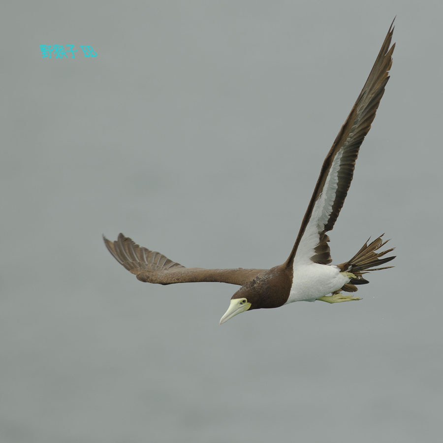 http://i.dcview.tw/gallery/201110/951d1ace306a31e435cd80b46a02f7c1.jpg