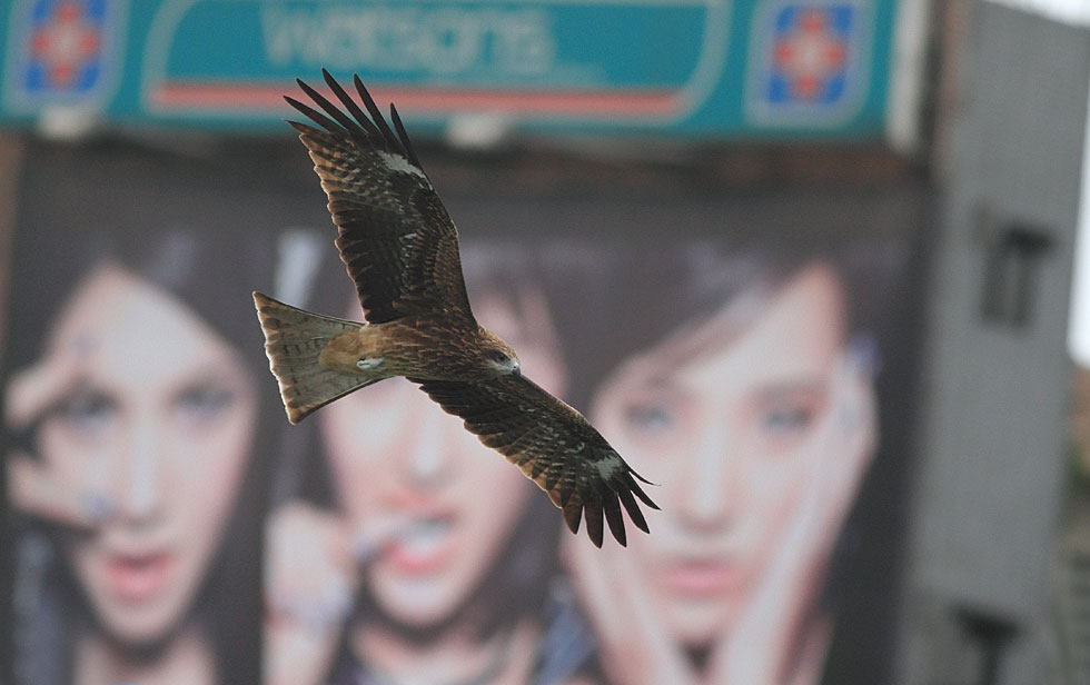 http://i.dcview.tw/gallery/201110/a3ef10fc4927034d825f728c6ce62561.jpg