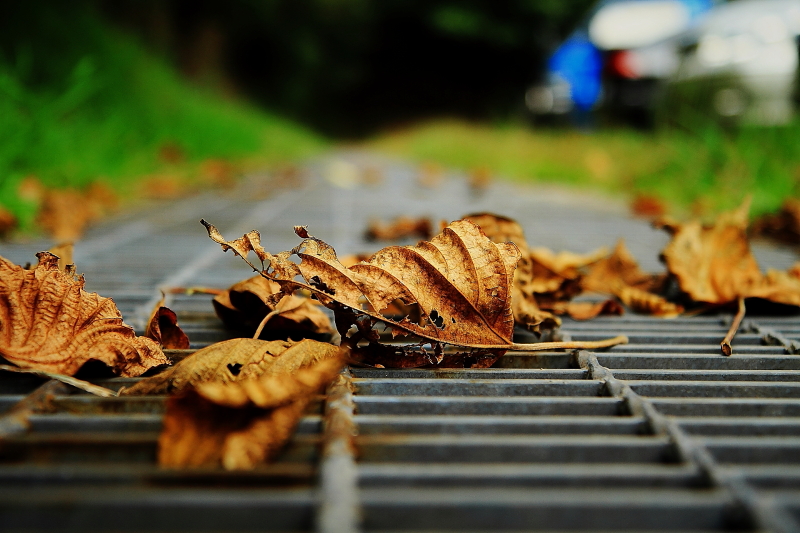 http://i.dcview.tw/gallery/201110/a56110265511da60d013d6f17bcddf31.jpg