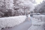 1/2infrared rays 720nm@琪琪