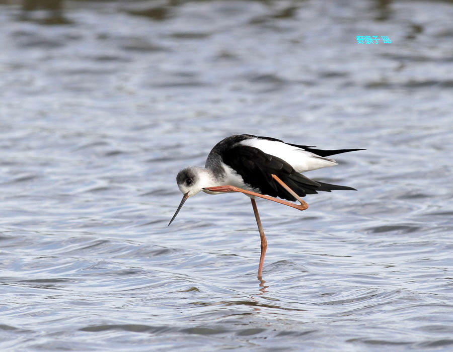 http://i.dcview.tw/gallery/201110/c6704635becaf891f95f8d6b745dd041.jpg