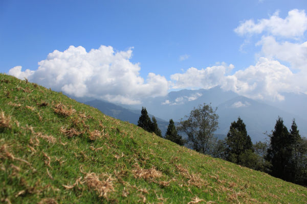 http://i.dcview.tw/gallery/201110/c9ea41063c95fc2aa44055911fc67fde.jpg