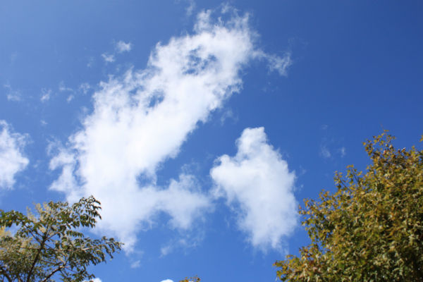 http://i.dcview.tw/gallery/201110/ca4a4eb8ce556b6b234d66af88ca9a7f.jpg