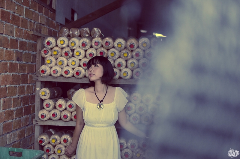 http://i.dcview.tw/gallery/201110/d561eedfa37d19309b7e3f6f9bb1d3e9.jpg