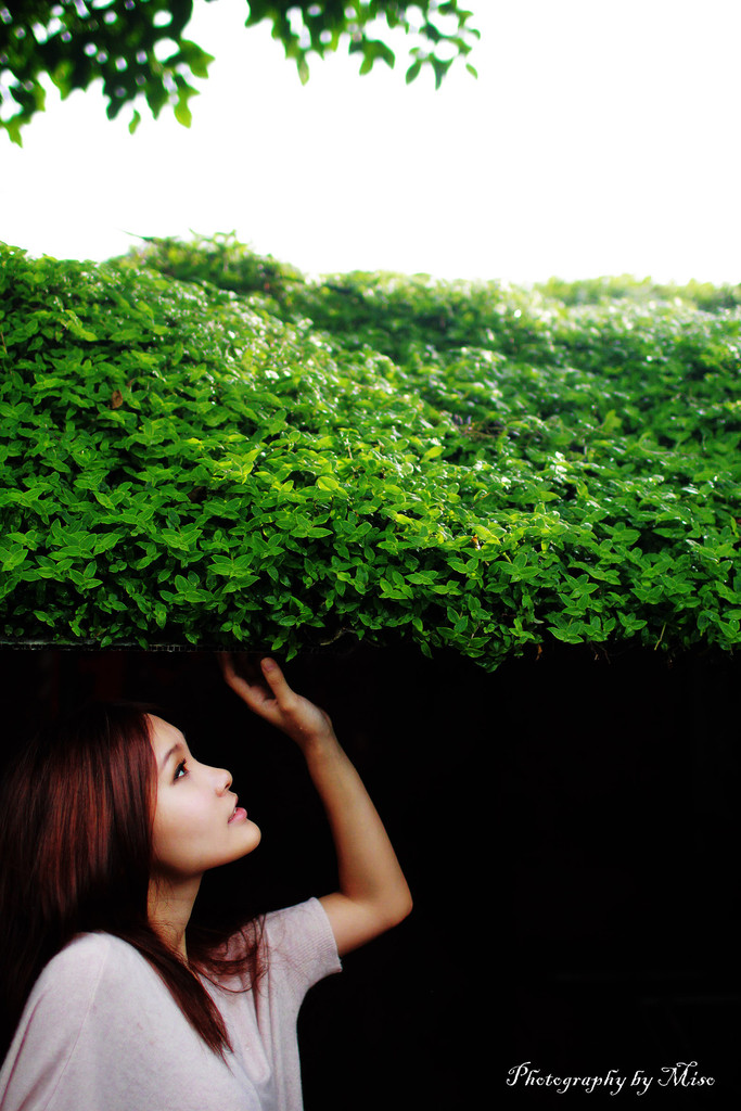http://i.dcview.tw/gallery/201110/e691a724d3af7699dc1df73946e43a83.jpg