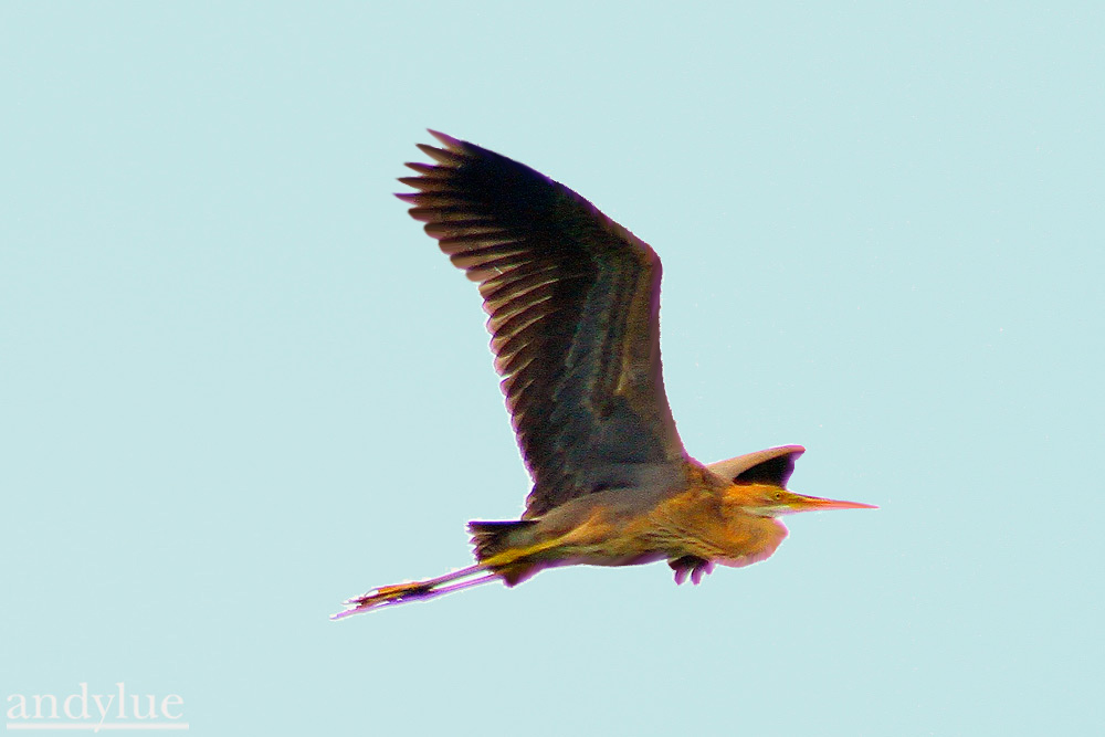 http://i.dcview.tw/gallery/201110/f223141630602af4d67fd263e9e9db8b.jpg