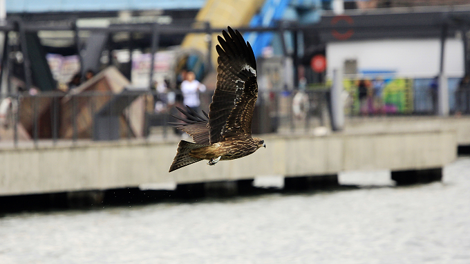http://i.dcview.tw/gallery/201111/03709ad4a197d5792c89b7bb629c5d22.jpg