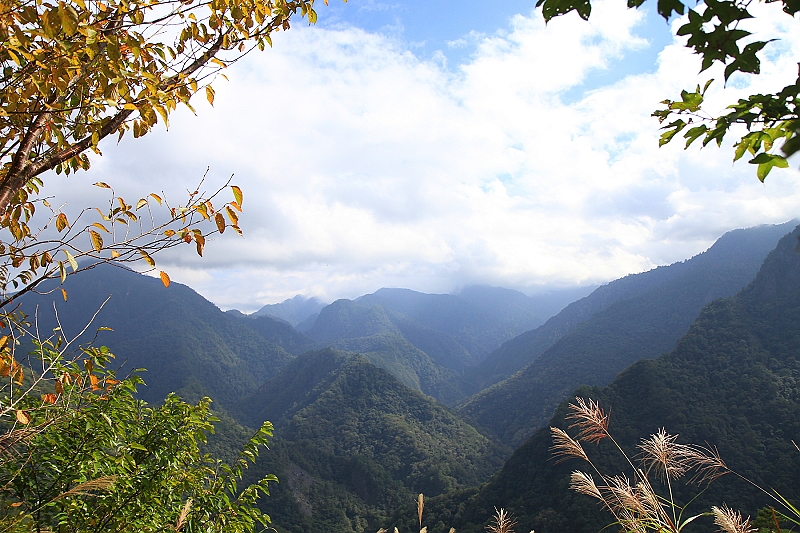http://i.dcview.tw/gallery/201111/05d676ef9871b5237d2659eff984cc80.jpg