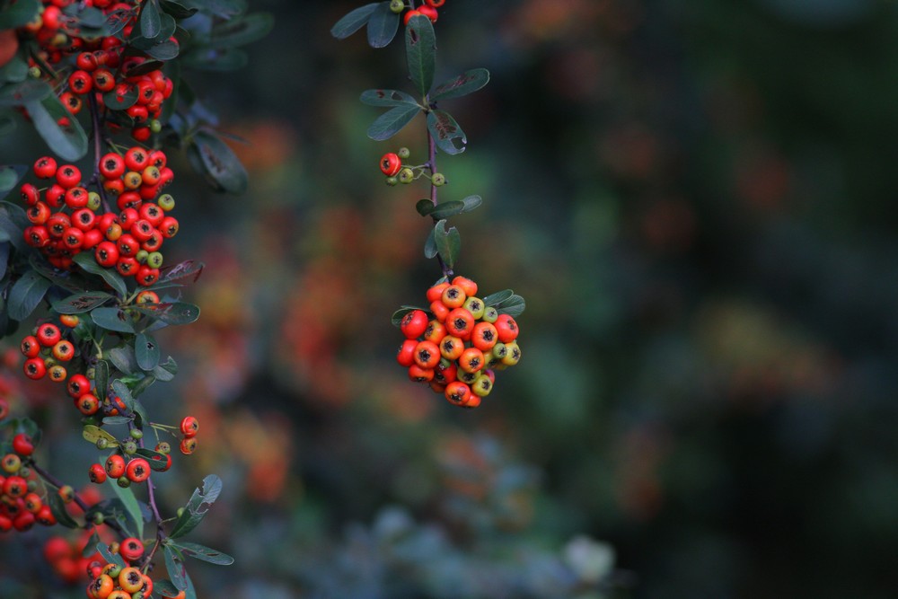 http://i.dcview.tw/gallery/201111/0a17b79ef1cf8bde443907b2da5cd811.jpg