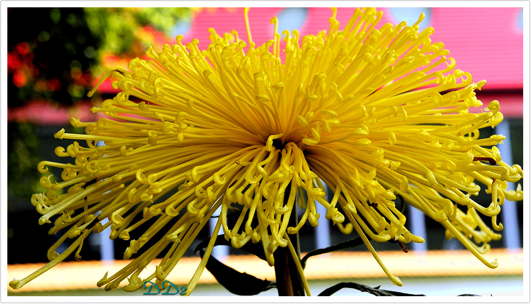 http://i.dcview.tw/gallery/201111/0cbaf013b2a3ab11cf6decbda2a70e33.jpg