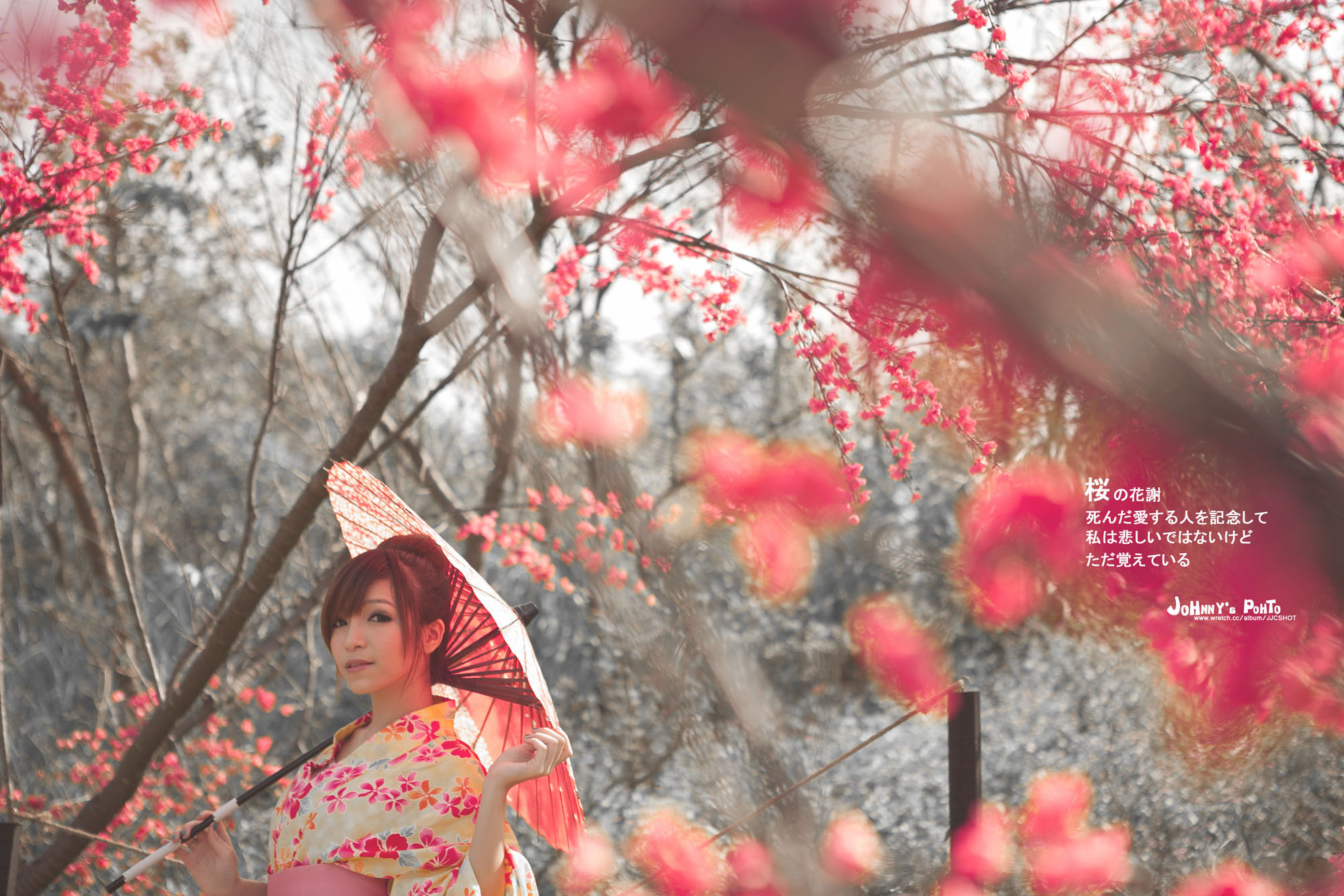http://i.dcview.tw/gallery/201111/0cf60851f25a845f54ed7aff80a14394.jpg