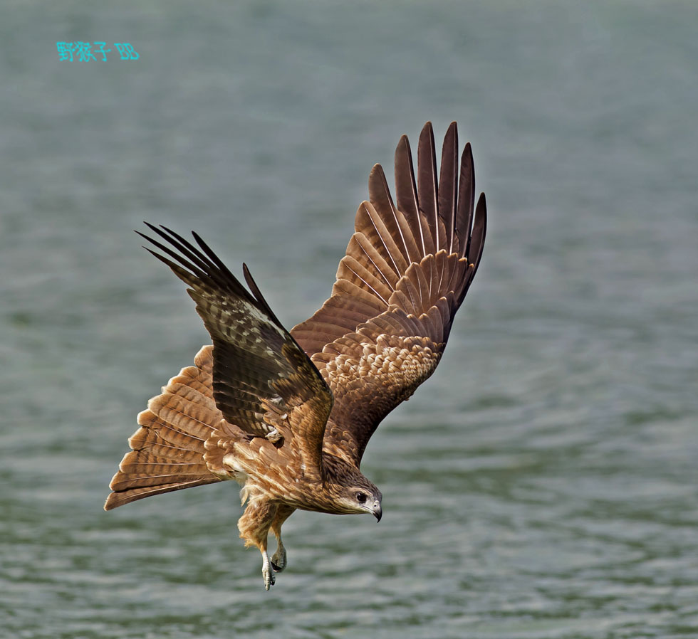http://i.dcview.tw/gallery/201111/0d66fe945752cb2fb552ca17e712ac98.jpg