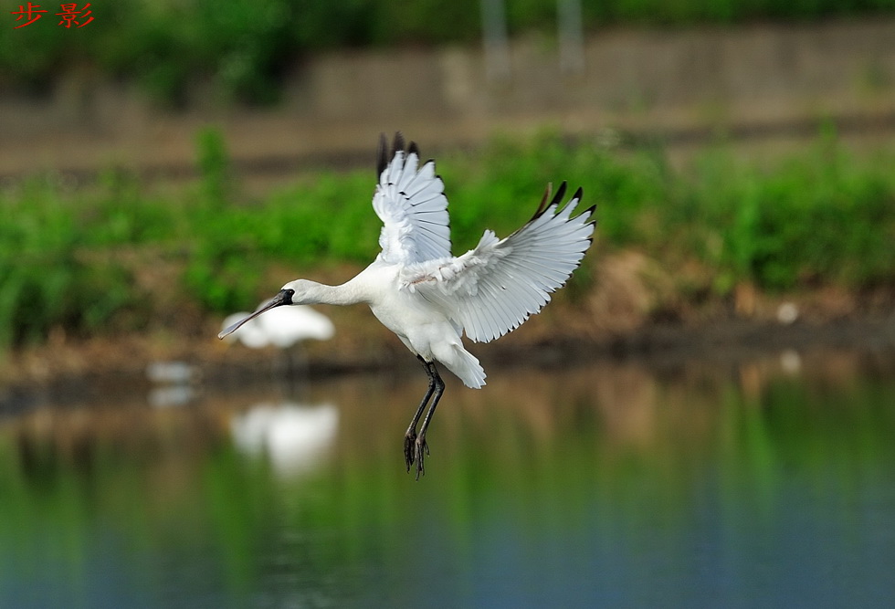 http://i.dcview.tw/gallery/201111/0d68339d4038140accba0b906a36546a.jpg