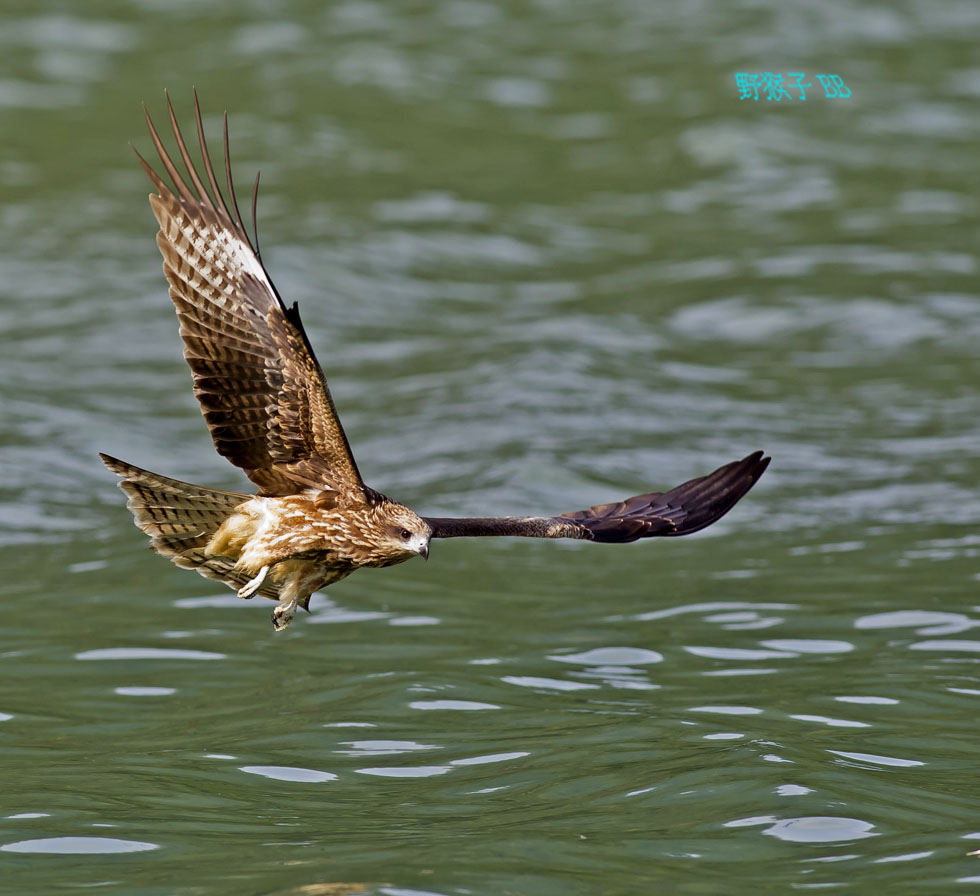 http://i.dcview.tw/gallery/201111/1599206c2ea04e81f2c20074020851d8.jpg